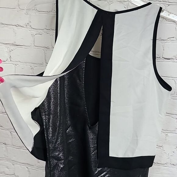 Express Black Cream Silver Color Block Metallic Open Back Sleeveless Work Blouse - Picture 9 of 11